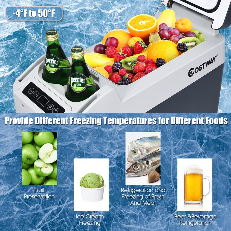 Costway 54 sale quart refrigerator